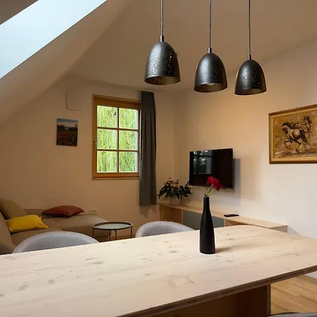 Gostinjska kuća House Belca Preddvor